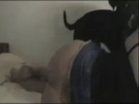 Busty babe enjoying dog dick inside her pussy